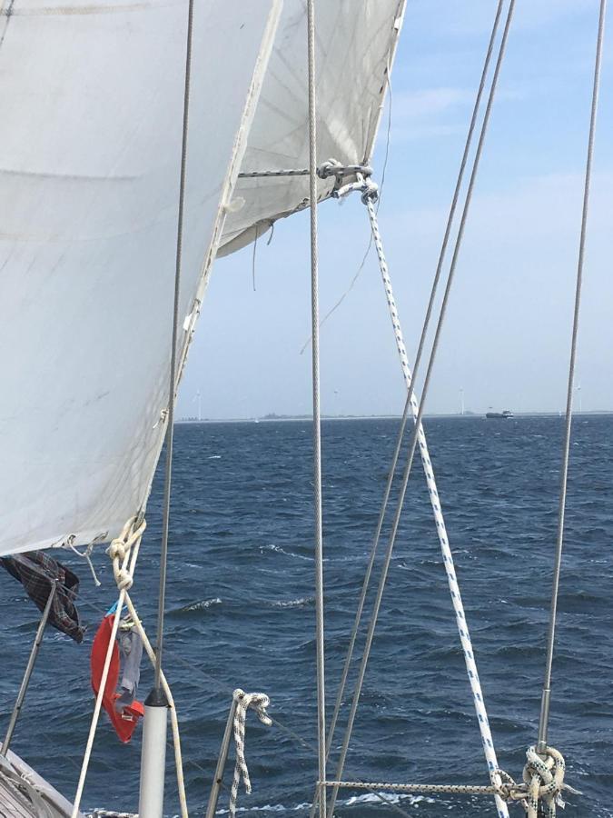 Stay Only Or Sailaway With Friends And Family Have More Fun メーデムブリク エクステリア 写真
